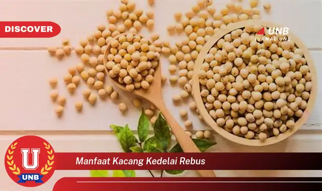 Temukan Manfaat Kacang Kedelai Rebus yang Jarang Diketahui