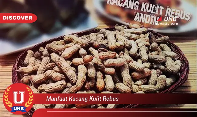 Ketahui 7 Manfaat Mengejutkan Kacang Kulit Rebus untuk Kesehatan