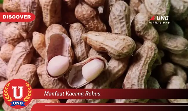 9 Manfaat Kacang Rebus yang Jarang Diketahui