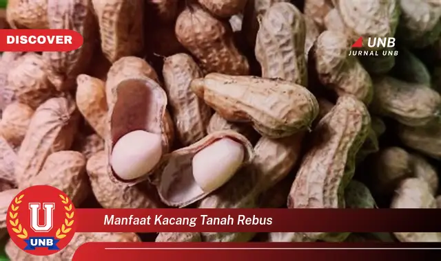 Ketahui 8 Manfaat Kacang Tanah Rebus yang Jarang Diketahui