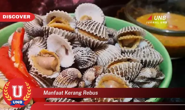 manfaat kerang rebus