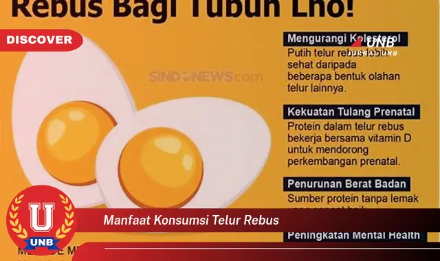 manfaat konsumsi telur rebus