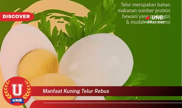 8 Manfaat Kuning Telur Rebus yang Jarang Diketahui