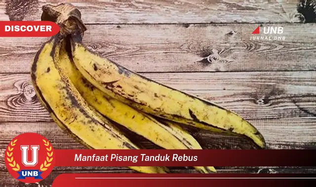 manfaat pisang tanduk rebus