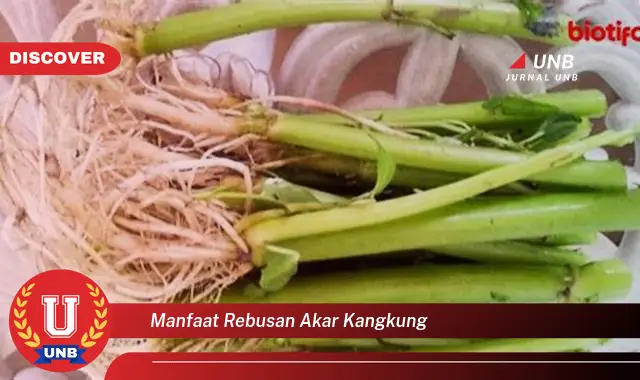 7 Khasiat Rebusan Akar Kangkung: Temuan Mengejutkan!