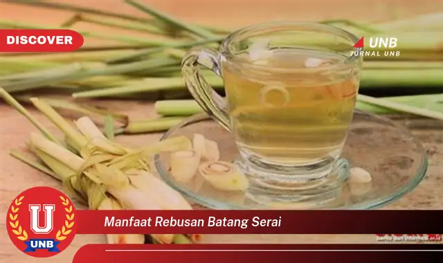 manfaat rebusan batang serai