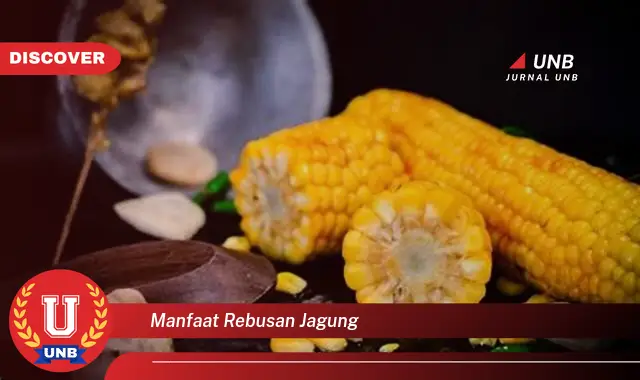 manfaat rebusan jagung