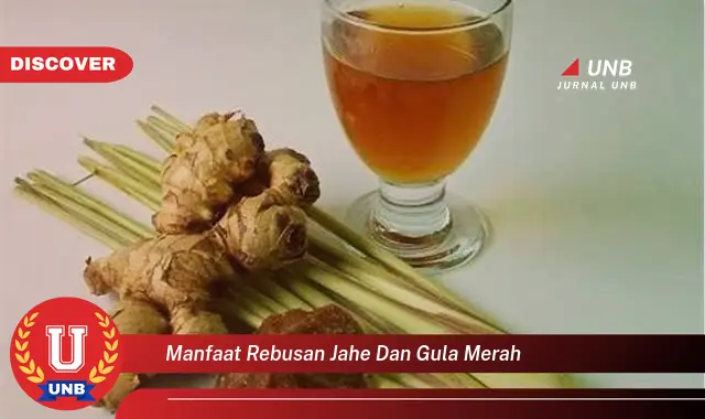 Temukan 6 Manfaat Rebusan Jahe Dan Gula Merah Yang Jarang Diketahui