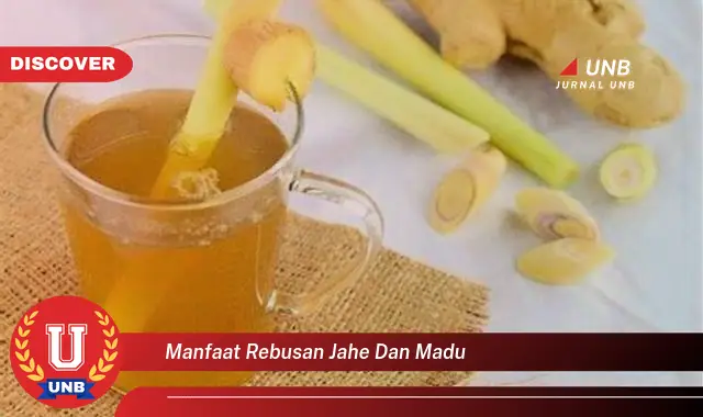 manfaat rebusan jahe dan madu