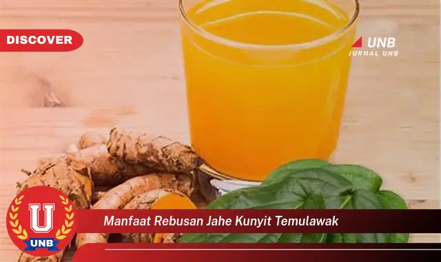 manfaat rebusan jahe kunyit temulawak