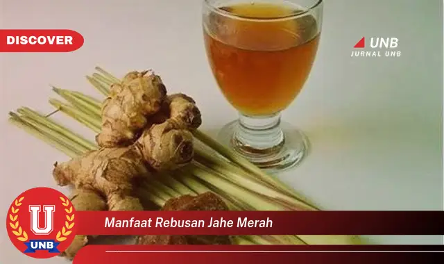 manfaat rebusan jahe merah