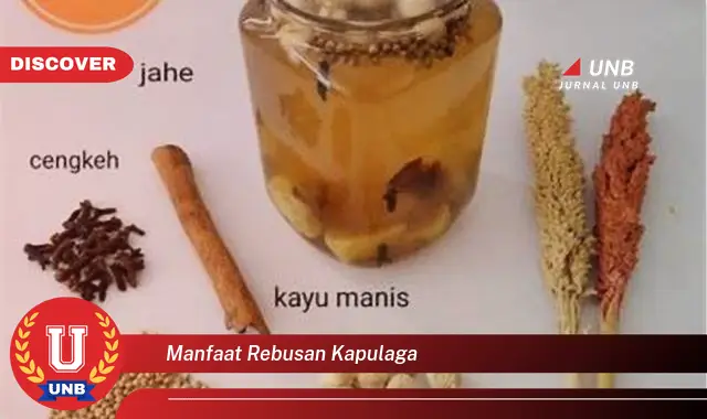 manfaat rebusan kapulaga