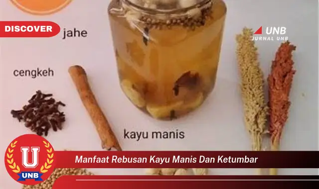 Temukan Manfaat Rebusan Kayu Manis & Ketumbar untuk Kesehatan