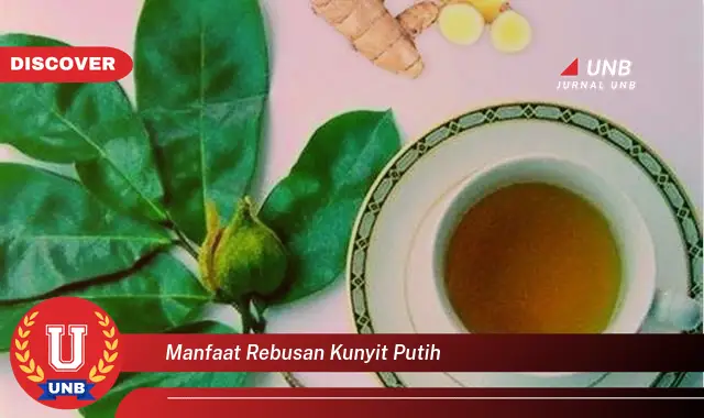 manfaat rebusan kunyit putih