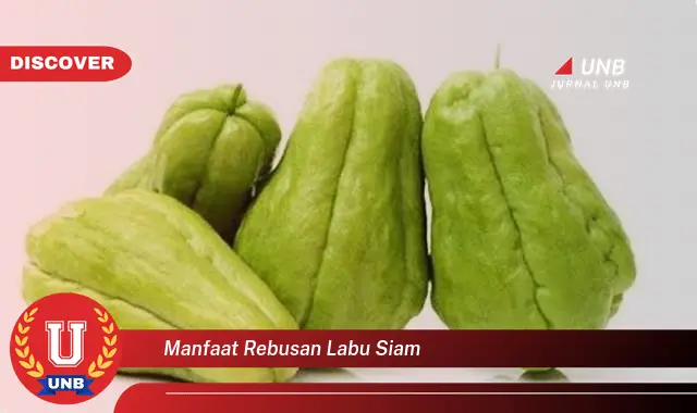 manfaat rebusan labu siam