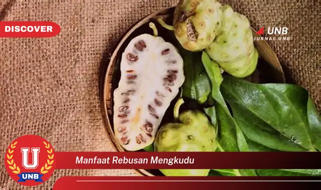 manfaat rebusan mengkudu