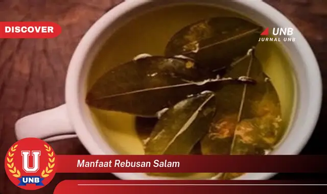 9 Manfaat Rebusan Daun Salam: Temuan & Khasiat Mengejutkan