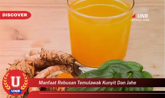 manfaat rebusan temulawak kunyit dan jahe