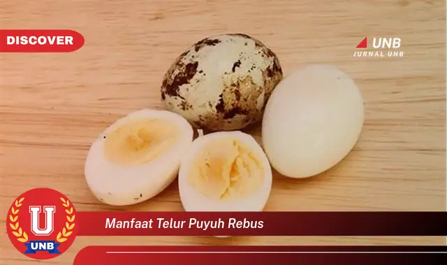 manfaat telur puyuh rebus