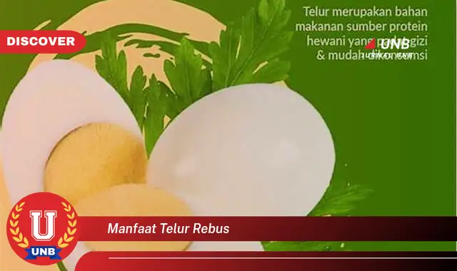 Temukan Manfaat Telur Rebus yang Jarang Diketahui