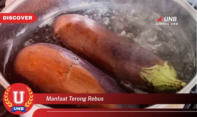 Temukan Manfaat Ajaib Terong Rebus untuk Kesehatan