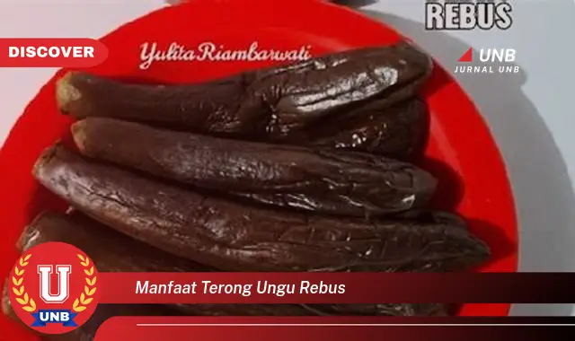 7 Manfaat Terong Ungu Rebus untuk Kesehatan Anda