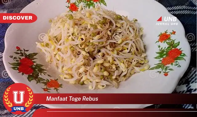 9 Manfaat Toge Rebus: Kuakap Semua Khasiatnya