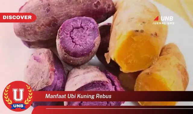 9 Manfaat Ubi Kuning Rebus untuk Kesehatan yang Mengejutkan 9 Manfaat Ubi Kuning Rebus untuk Kesehatan yang Mengejutkan