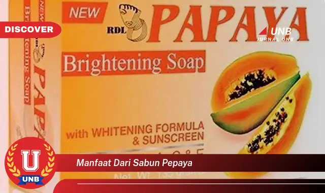 manfaat dari sabun pepaya