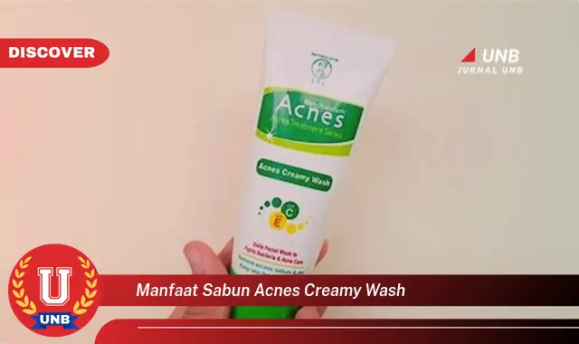 manfaat sabun acnes creamy wash manfaat sabun acnes creamy wash