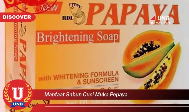 manfaat sabun cuci muka pepaya manfaat sabun cuci muka pepaya