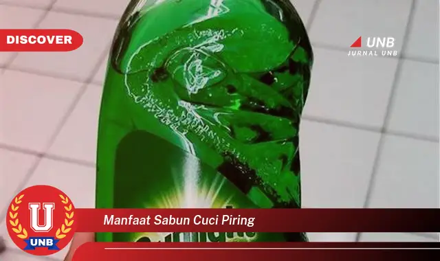 manfaat sabun cuci piring