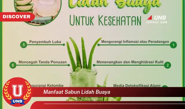 manfaat sabun lidah buaya manfaat sabun lidah buaya