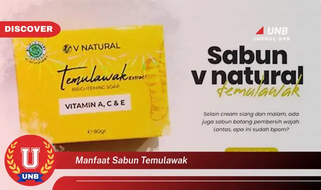 manfaat sabun temulawak