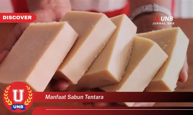 manfaat sabun tentara manfaat sabun tentara