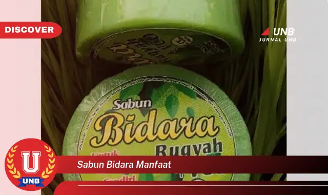 sabun bidara manfaat