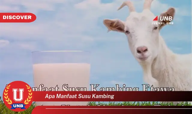 apa manfaat susu kambing apa manfaat susu kambing