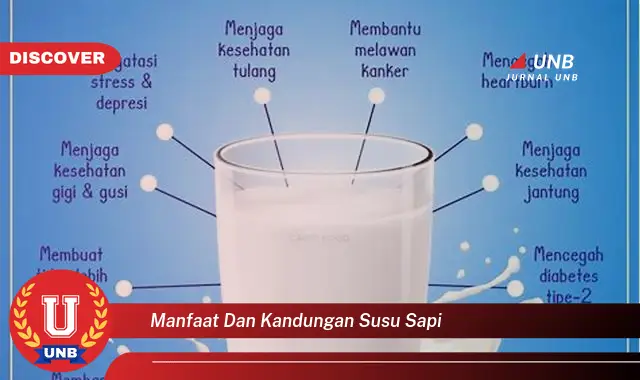 manfaat dan kandungan susu sapi manfaat dan kandungan susu sapi