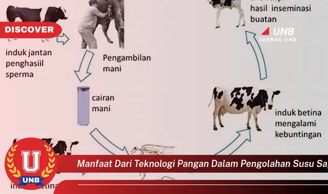 manfaat dari teknologi pangan dalam pengolahan susu sapi