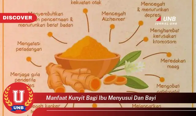 manfaat kunyit bagi ibu menyusui dan bayi manfaat kunyit bagi ibu menyusui dan bayi
