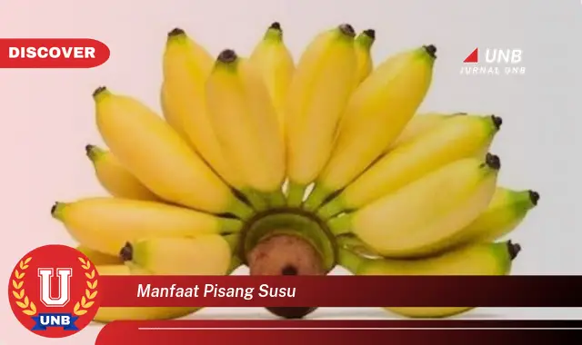 manfaat pisang susu