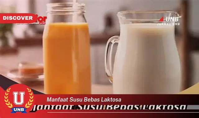 manfaat susu bebas laktosa