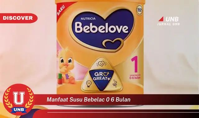 manfaat susu bebelac 0 6 bulan