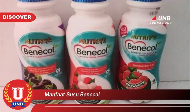 manfaat susu benecol