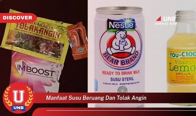 manfaat susu beruang dan tolak angin