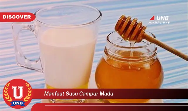 manfaat susu campur madu