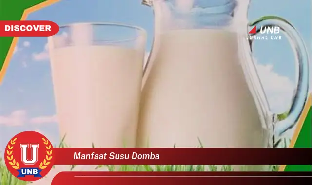 manfaat susu domba