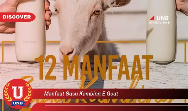 manfaat susu kambing e goat manfaat susu kambing e goat