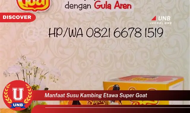 manfaat susu kambing etawa super goat