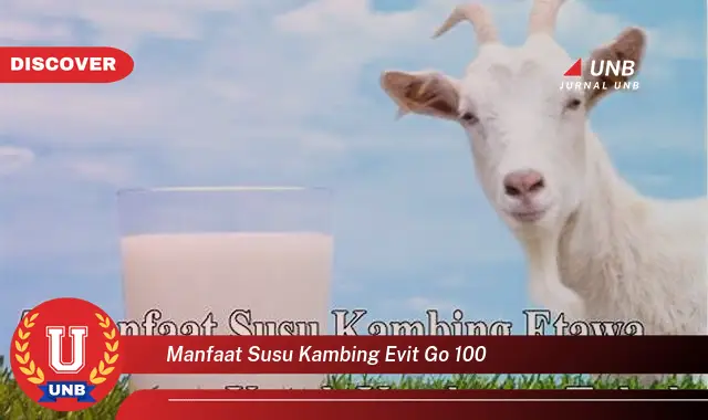 manfaat susu kambing evit go 100